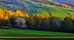 jarné pohľady..