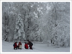 zamieriť a stlačiť