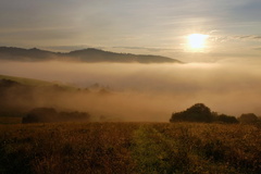 ranné odhaľovanie IV