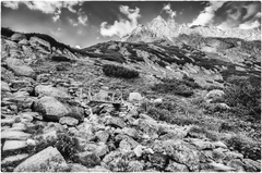 Lávka na Žabom potoku