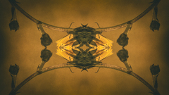 Letter of the nature