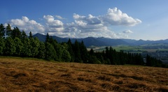 v prírode nad mestom