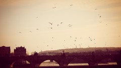 The River of Vltava