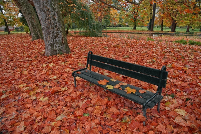 Jeseň v parku