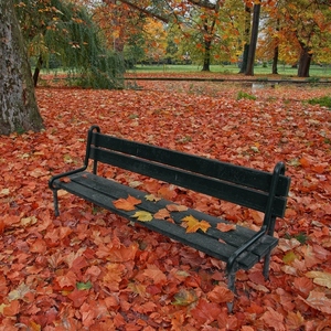 Jeseň v parku