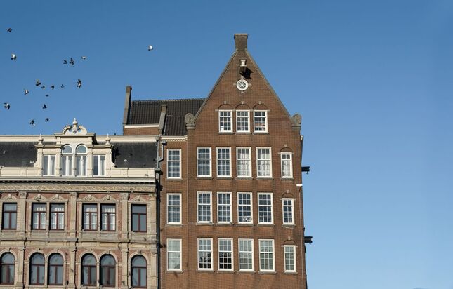 Amsterdam a holuby