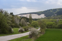 Závada