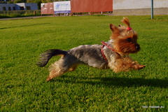 Peggy beh 2