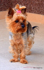 Peggy pózuje