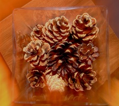 vianocny motiv