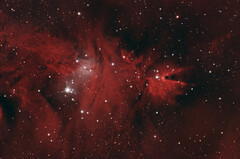 NGC2264