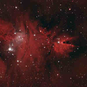 NGC2264