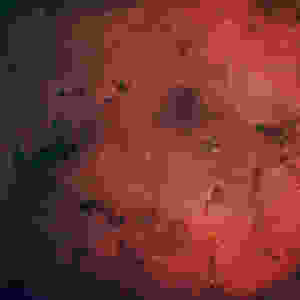 IC1396 hmlovina sloni chobot