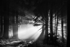 "Vianočný pozdrav.." - čb