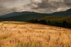 Poljana
