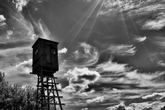 BW
