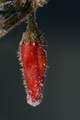 Hot Winter
