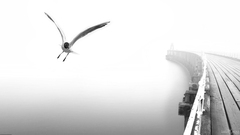 Cleared for the Approach