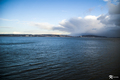 Swansea