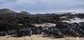 Swansea-Mumbles Lighthouse