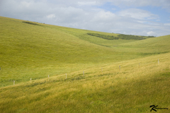Seven Sisters Park