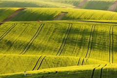 Z cest po zlatých vlnách