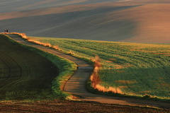 Ranní pohledy