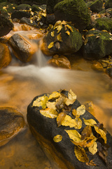 Podzim na Suché Kamenici