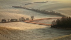 V očekávání zimy