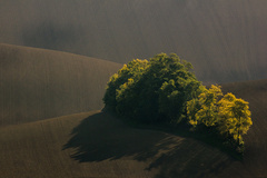 Klíny Jižní Moravy