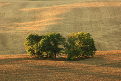 V posledním světle