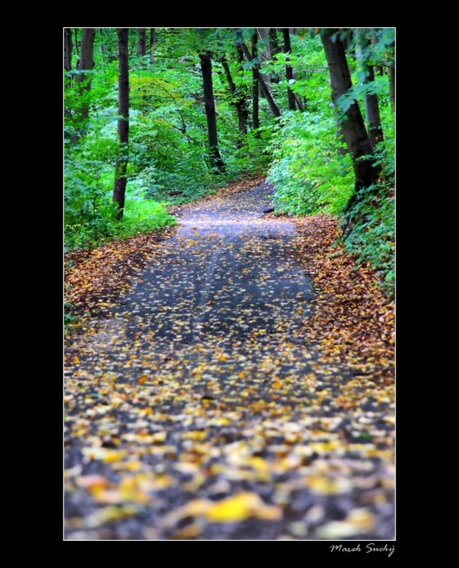 Keď prichádza jeseň