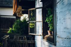 Muzeum slovenskej dediny V