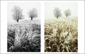 BW vs Color