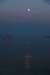 OREBIČ NIGHT