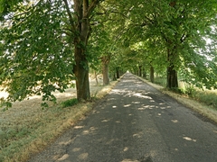 CESTA