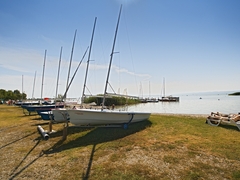PLACHETNICE