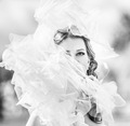 Windy