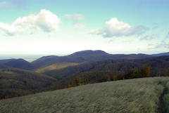 Pohľad 