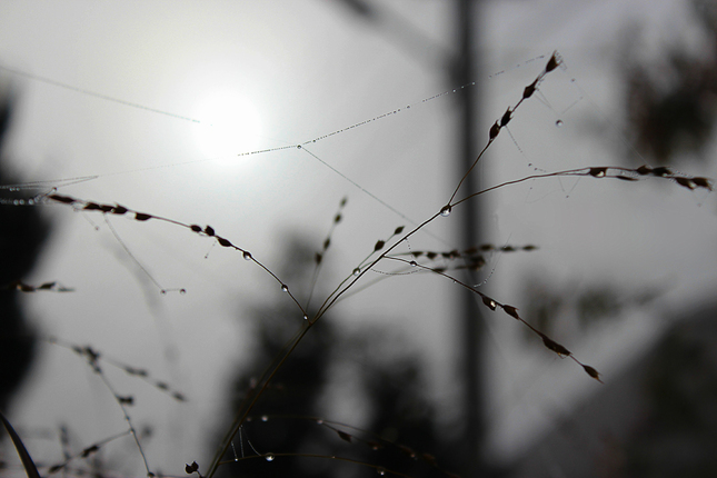 prebudenie do hmly ..