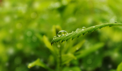 pohladenie dažďa ..