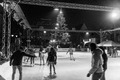 Ice skating under the tree