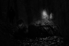 Fear of Darkness