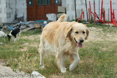 Sanny :)