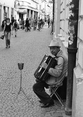 Muzikant
