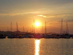 sun