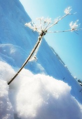 Zima 2011