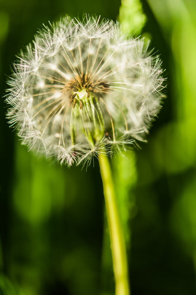 Pripravené na odlet