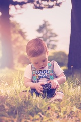 Zenit