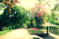 Schweizer Garten